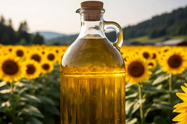 MOLDOVA'S EXPORT REVENUE FROM OILSEEDS REACHED ALMOST 1.1 BILLION LEI IN MARCH 2026