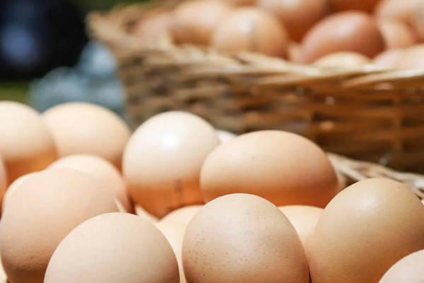 GOVERNMENT INTRODUCES NEW RULES FOR THE SALE OF EGGS IN MOLDOVA