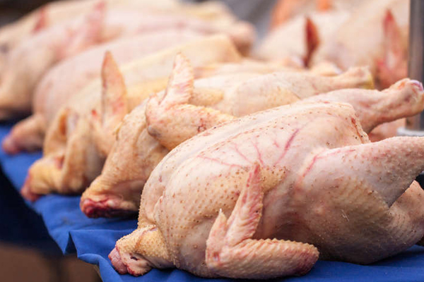 MOLDOVA AND UKRAINE AGREED ON MEASURES TO RESUME CHICKEN EXPORTS