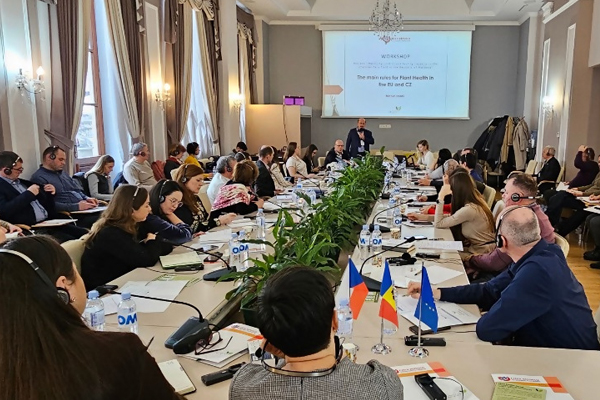 CZECH REPUBLIC HELPS MOLDOVA TO INCREASE EXPORTS TO EUROPEAN UNION