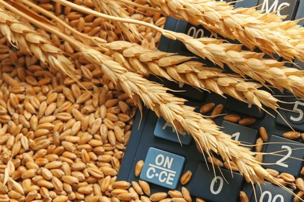 “FARMERS' POWER” ASSOCIATION AGAIN ASKS FOR AN EXTENSION OF GRAIN IMPORT LICENSING IN MOLDOVA