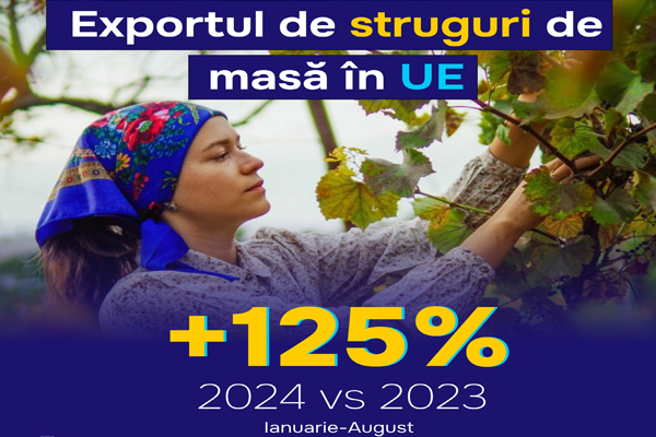 MINISTER OF ECONOMY: EXPORT OF TABLE GRAPES TO THE EUROPEAN UNION IN 2024 WILL INCREASE BY 125%