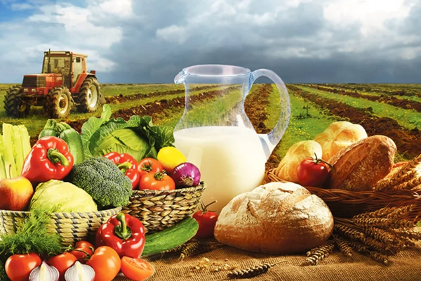 AGRICULTURAL PRODUCTION DECREASED BY 5.8% IN FIRST HALF OF 2025%