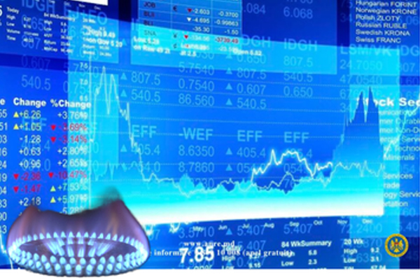 ENERGY REGULATORY AGENCY HAS GRANT GAS TRADING LICENSE TO NPGEM AND WATT PRIME FROM ROMANIA
