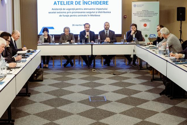 A JAPAN-FINANCED PROJECT CONFIRMS THE ADVANTAGES OF SORGHUM CULTIVATION IN MOLDOVA