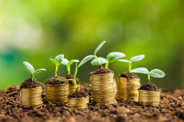 GOVERNMENT WILL HELP FARMERS TO INCREASE THEIR WORKING CAPITAL