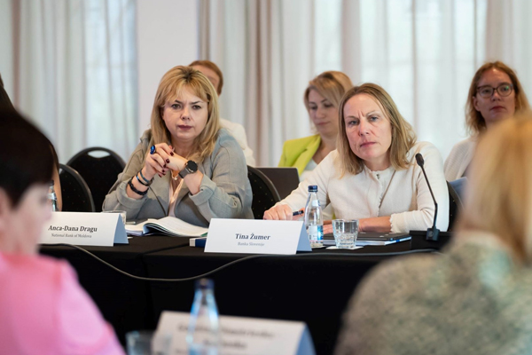 NATIONAL BANK GOVERNOR: COOPERATION WITH CEF SUPPORTS TRANSFORMATION OF NBM AND MOLDOVA'S INTEGRATION INTO EU