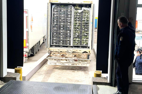 11 TONS OF SPOILED VEGETABLES WERE DESTROYED DURING IMPORT TO MOLDOVA