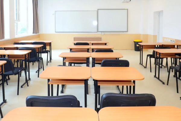 GOVERNMENT WILL CONTINUE TO "REORGANIZE" SCHOOLS