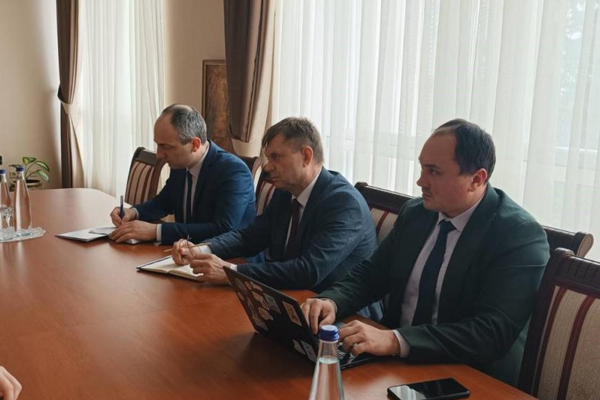 DEPUTY PRIME MINISTER FOR REINTEGRATION DISCUSSED TRANSNISTRIAN ISSUE WITH SWEDISH AMBASSADOR