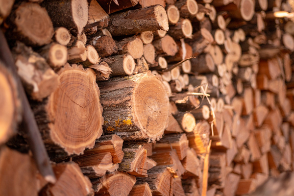 ​IN ANTICIPATION OF HEATING SEASON TRANSNISTRIA INTRODUCES CUSTOMS DUTY ON FIREWOOD