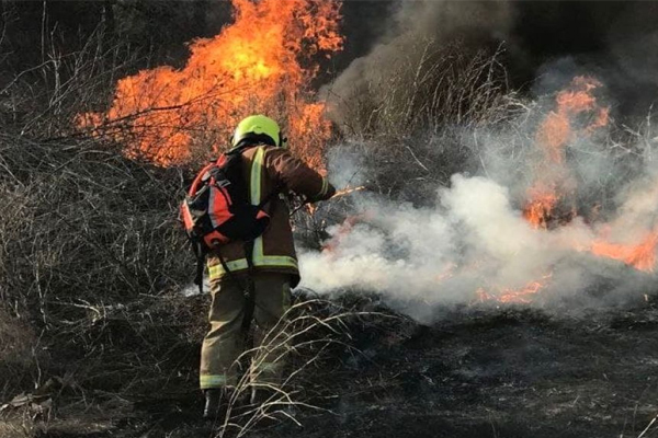 APROXIMATIV 60 DE HECTARE DE VEGETAȚIE USCATĂ AU ARS ÎN RAIONUL HINCEȘTI 