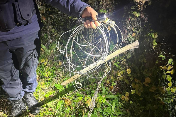 BORDER GUARDS DETAINED FOUR POACHERS WHO WERE SETTING TRAPS FOR WILD ANIMALS IN BORDER ZONE