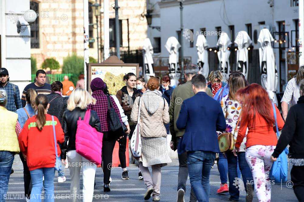 Şomajul în rândul tinerilor a scăzut semnificativ anul trecut (OIM)